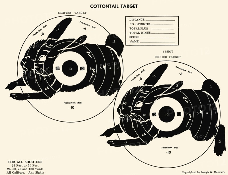 Cottontail Target