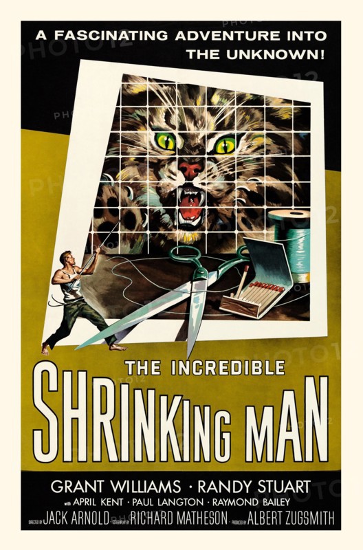 The Incredible Shrinking Man