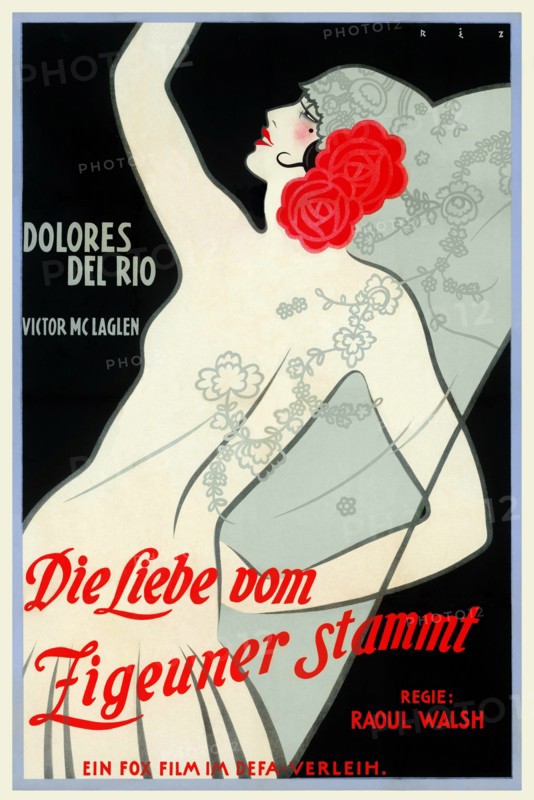 Die Liebe vom Zigeuner Stammt