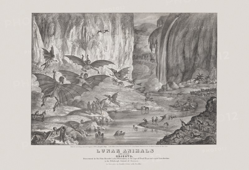Lunar animals and other objects