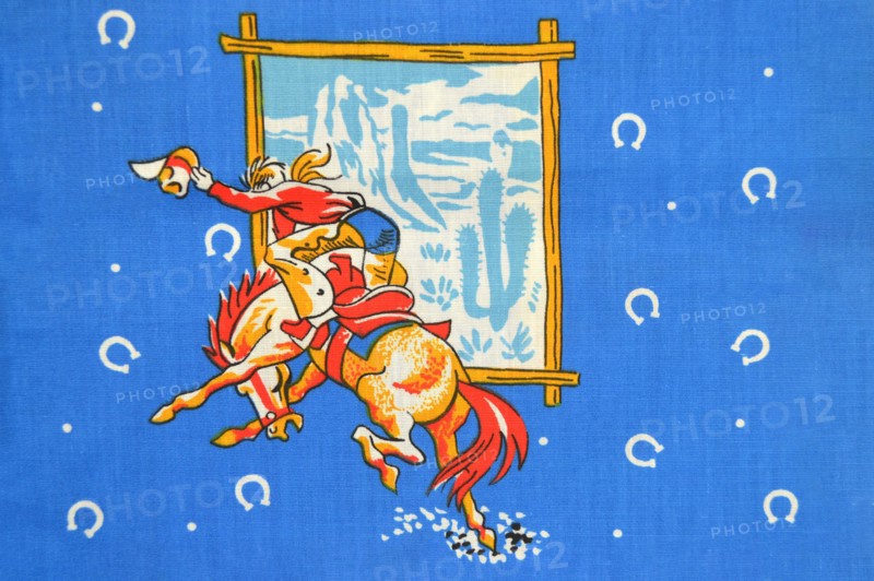 Bronco Riding