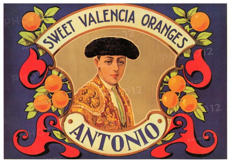 Antonio Sweet Valencia Oranges