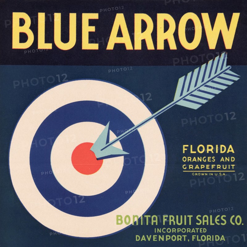 Blue Arrow Brand