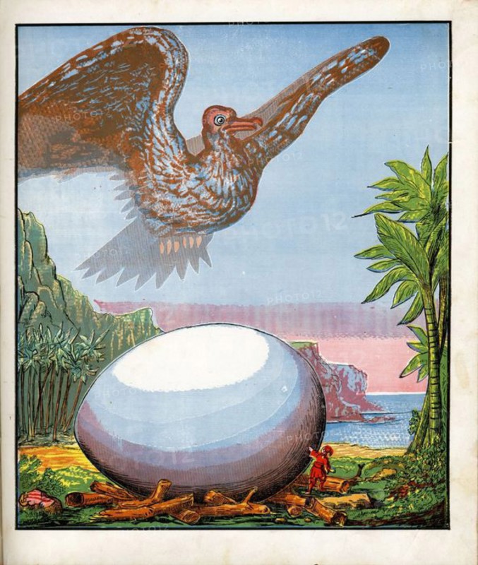 The Giant Nest