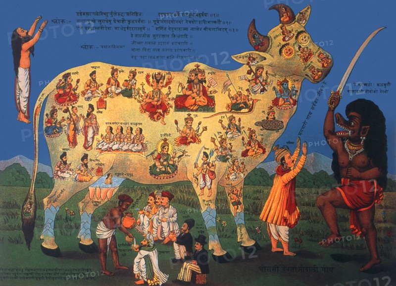 Chaurasi Devataon-wali Gai