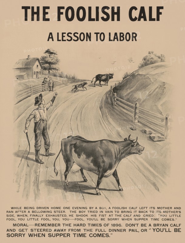 The foolish calf, a lesson to labor