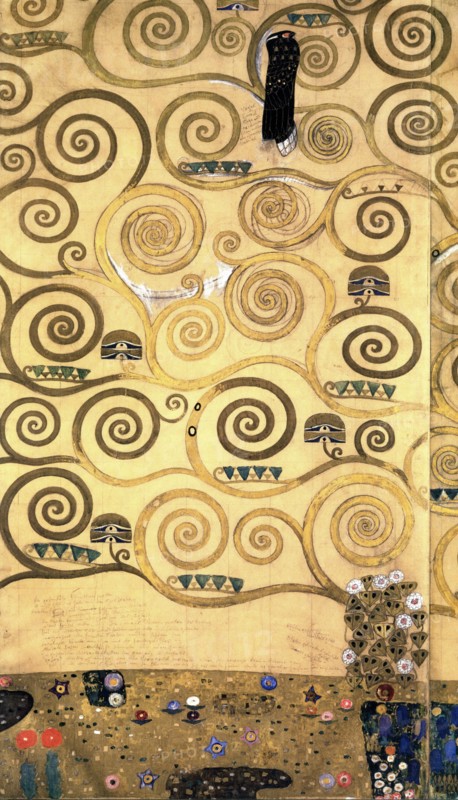 Tree of Life & Birds of Prey