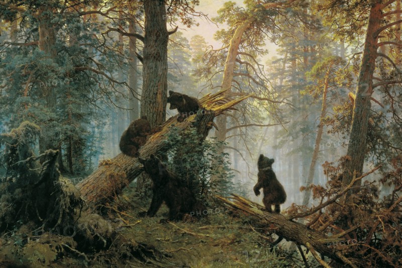 Bears in the Forest Morning