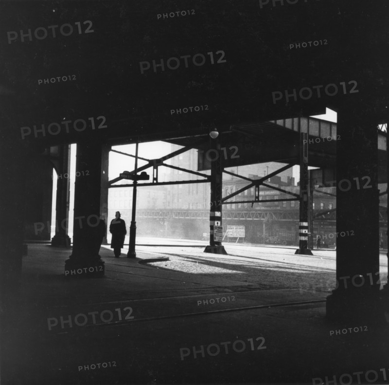 Along The Waterfront Photo