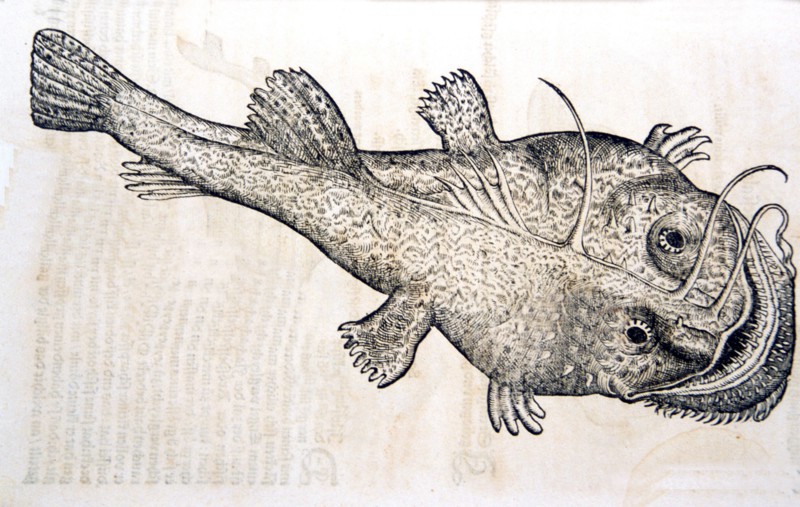 Illustration