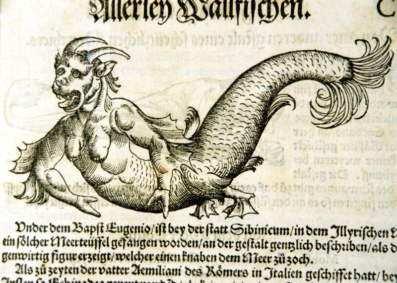 Illustration