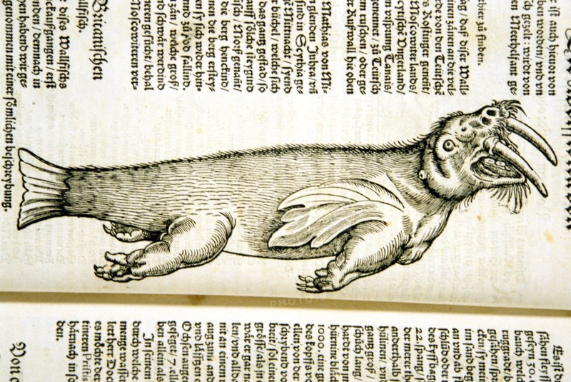 Illustration