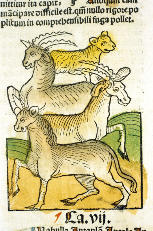 Illustration