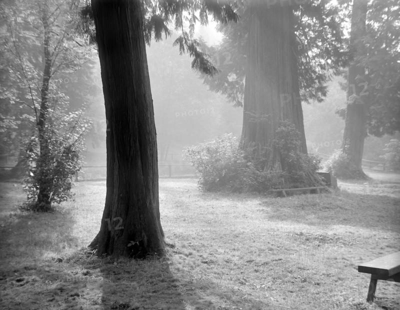 Photographie