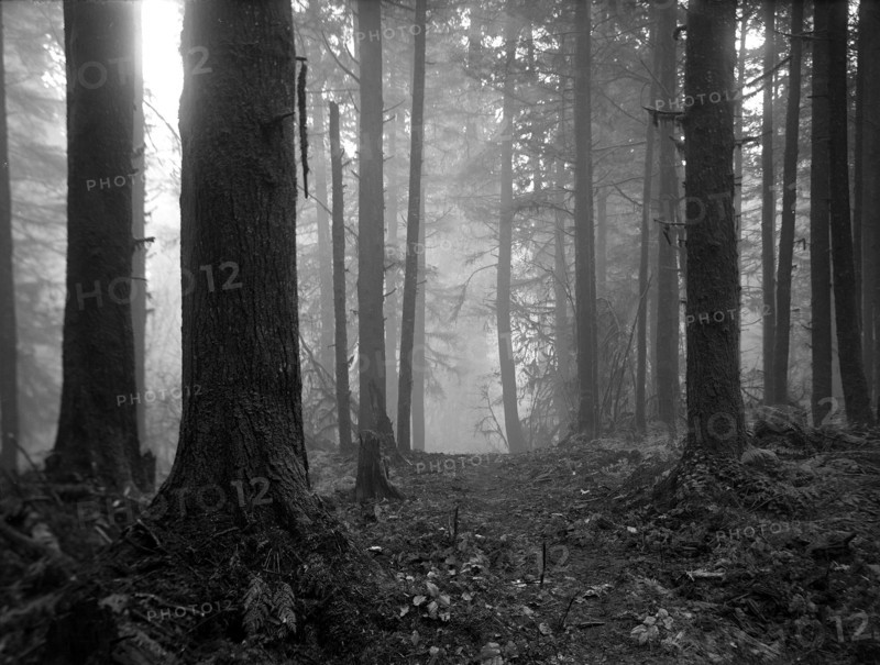 Photographie