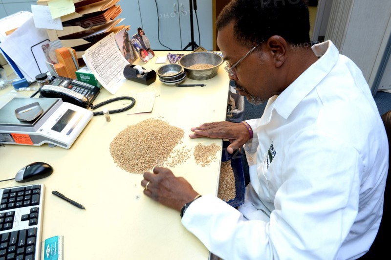 A U.S. Department of Agriculture (USDA) Grain Inspection
