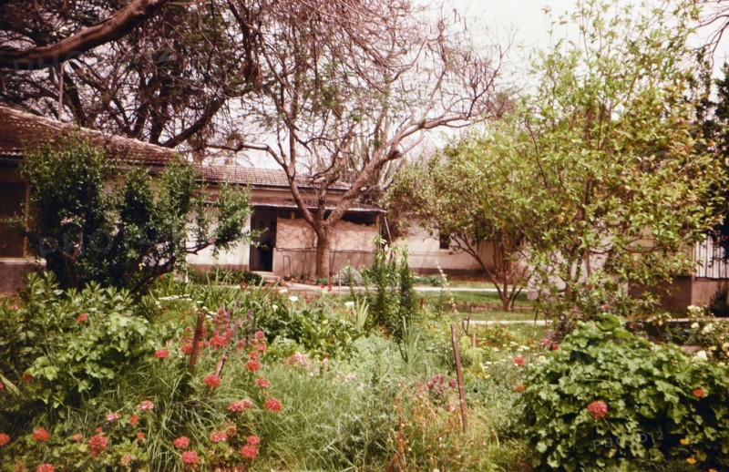 A view of a Israeli Kibutz in the 1960s