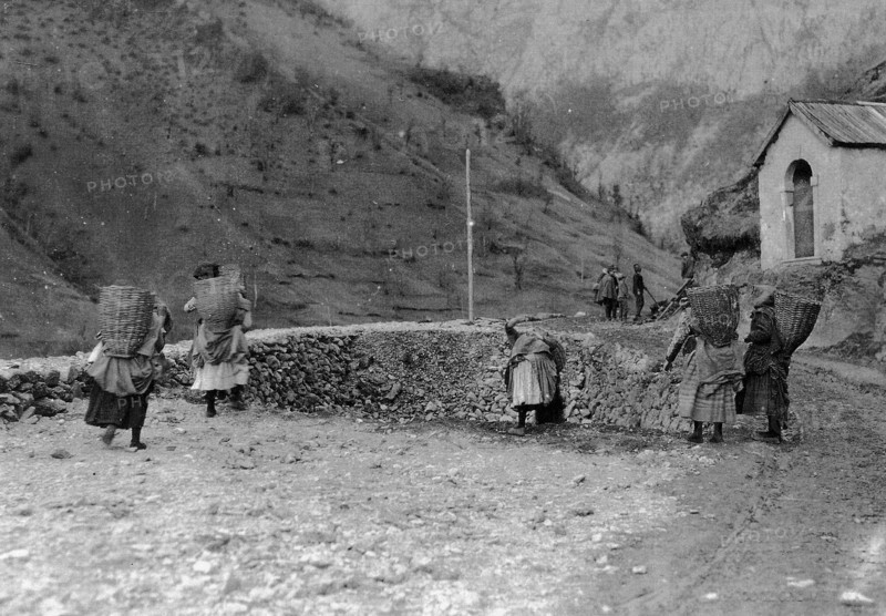 Carnia carriers, Timau