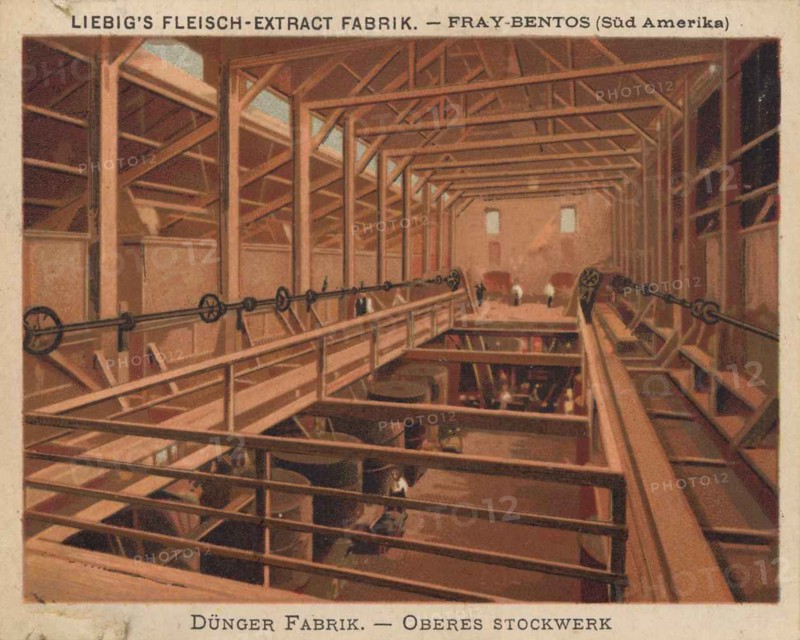 1f-4850010