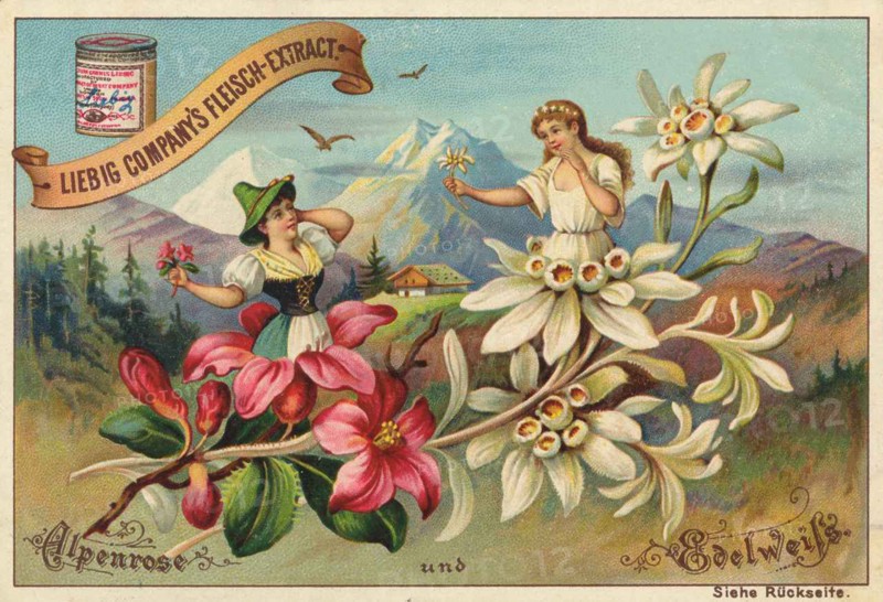 Flowers And Legends Series