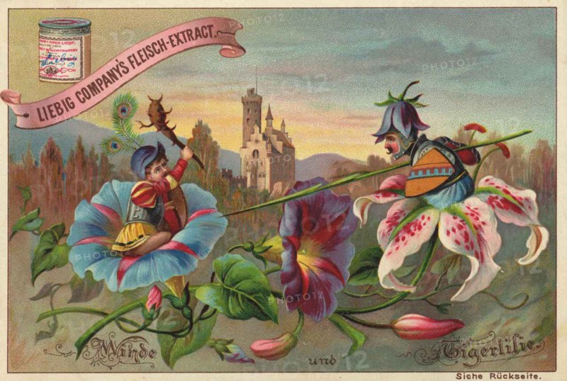 Flowers And Legends Series