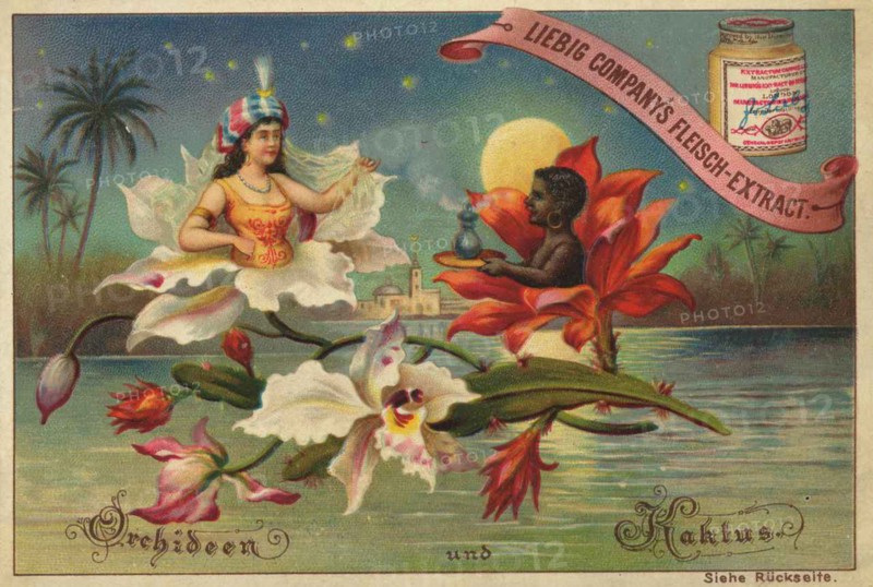 Flowers And Legends Series