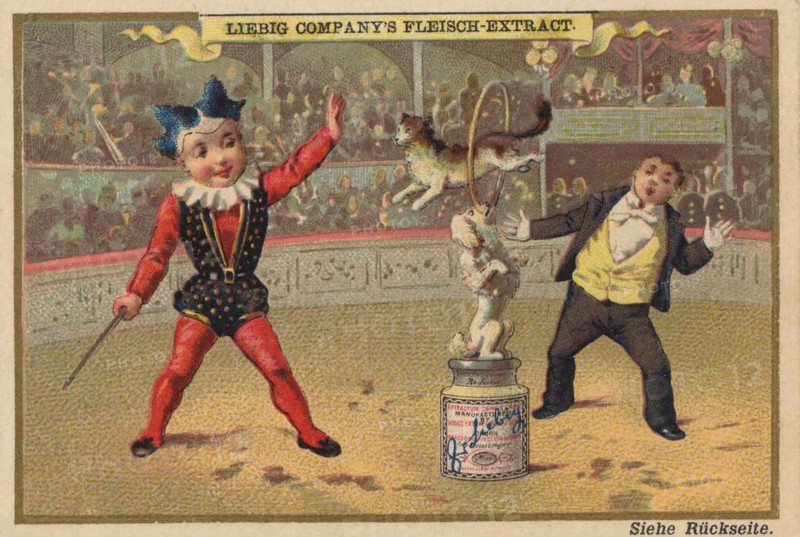 Picture Series Children As Artists In Circus