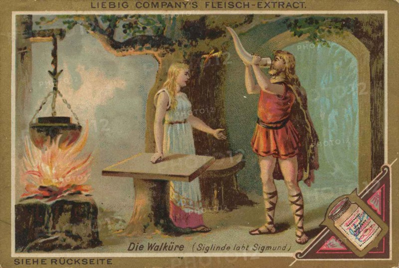 Picture Series Operas: Die Walküre