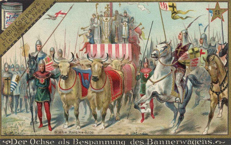 Series Of Pictures About The Oxen