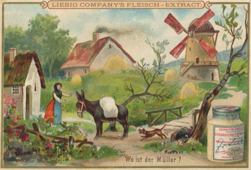 Series Of Images The Search