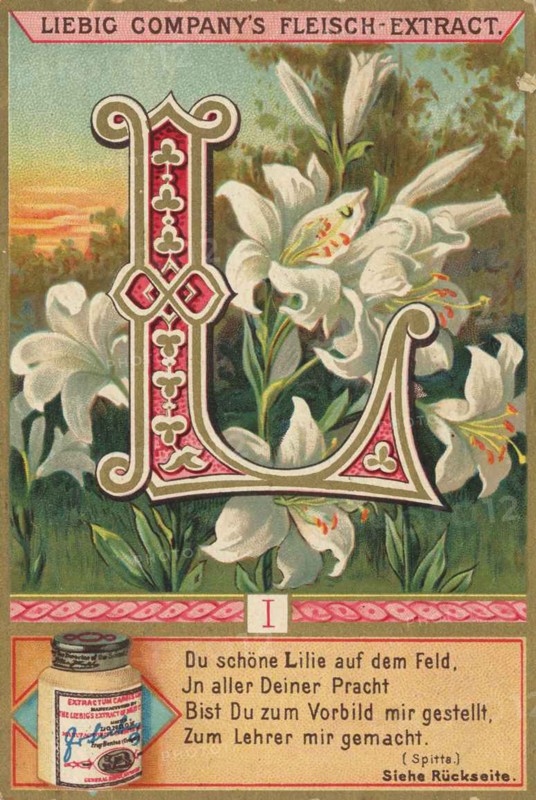Picture Series Letters And Plants