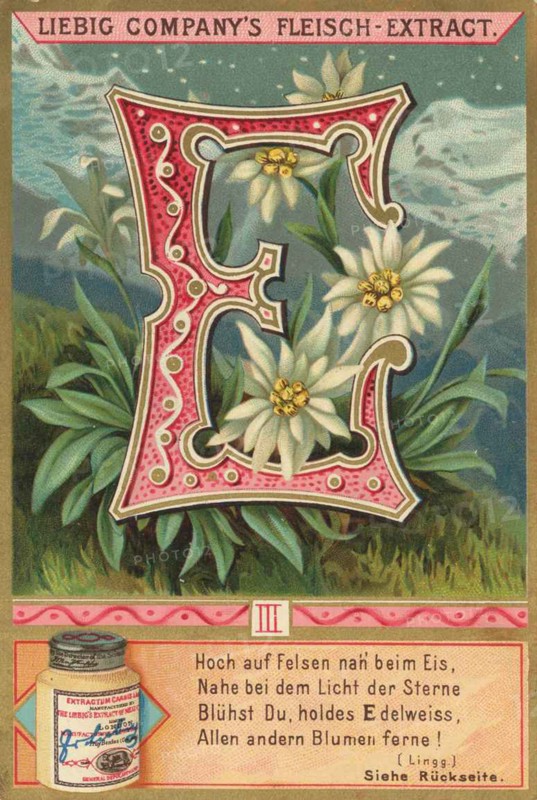 Picture Series Letters And Plants