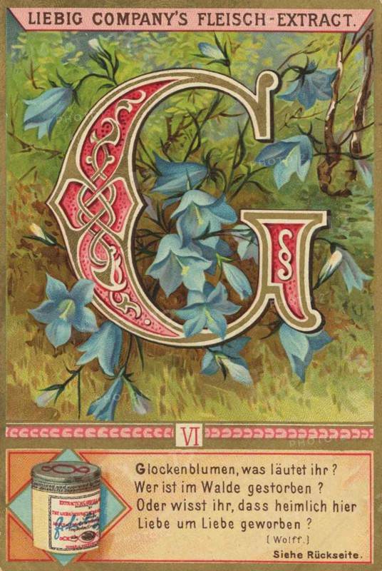 Picture Series Letters And Plants
