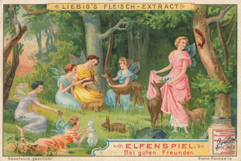 Elfenspiel Series