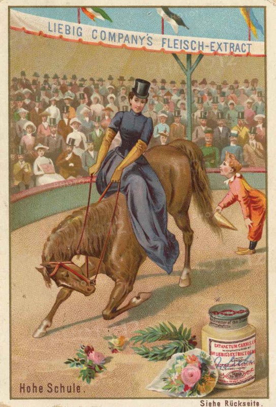 Series Horse Training In The Circus