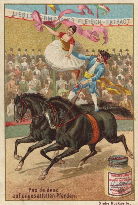 Series Horse Training In The Circus