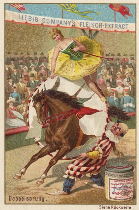 Series Horse Training In The Circus