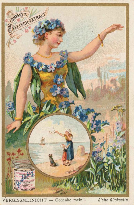 Series Symbols Of Flowers Related To People