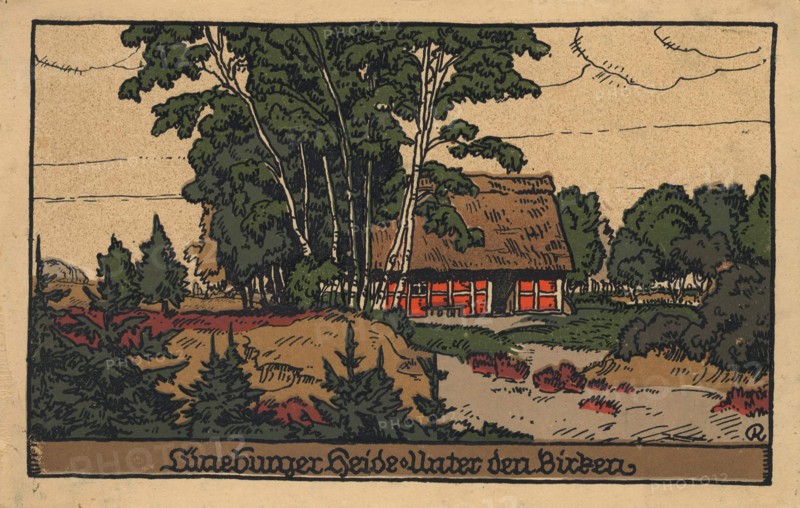 Under The Birches In The Lüneburg Heath