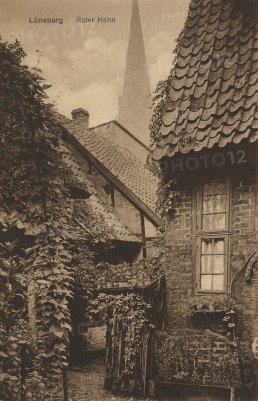 Red Rooster In Lüneburg