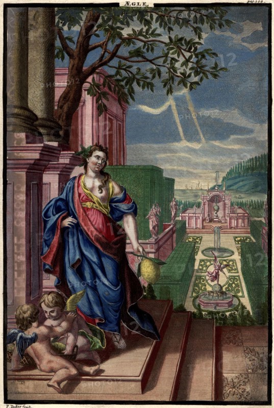 Aegle