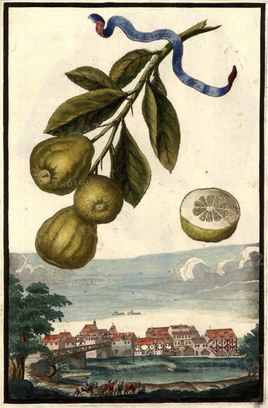 Limoni Peretti And Place To Stone