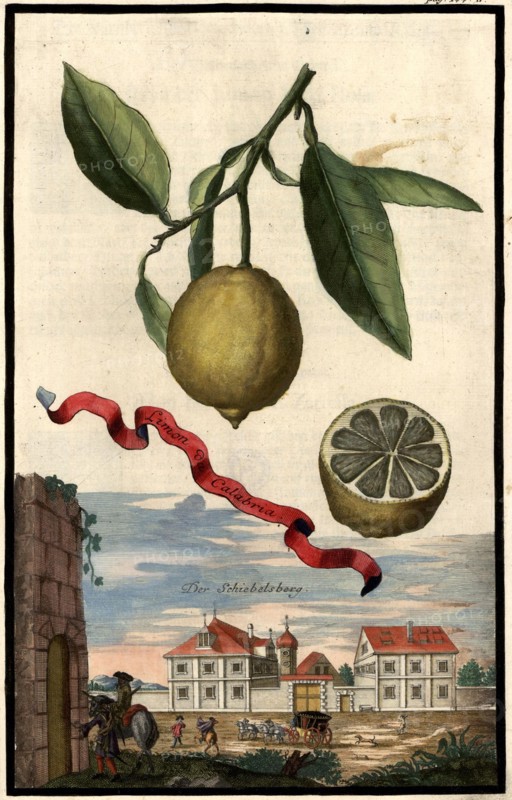 Limon Da Calabria And Schiebelsberg Castle