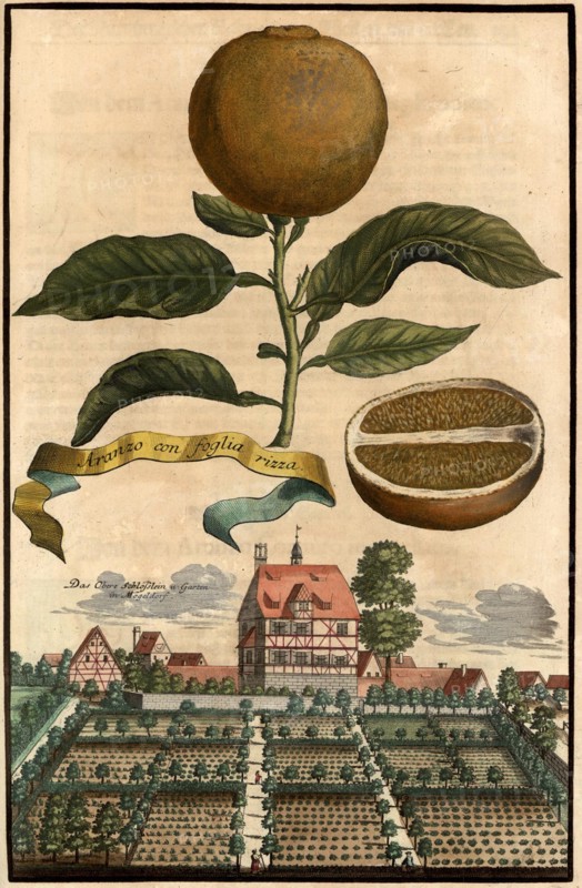 Aranzo Con Foglia Rizza And The Upper Castle And Garden Of Mögeldorf
