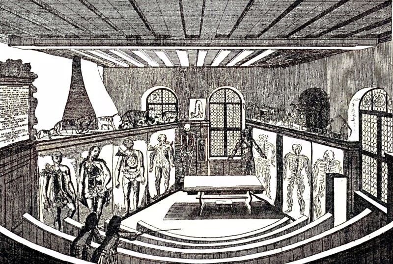 Anatomical Theater In The University / Anatomical Theater In The University Of Altdorf