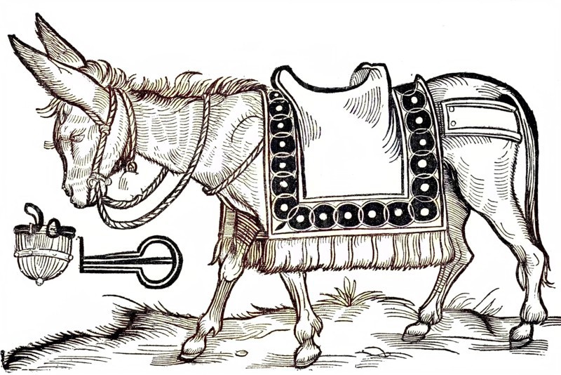 Mock Picture Of A Donkey To Deter Dumb Children