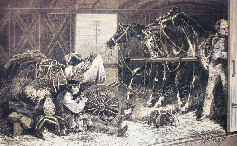 Cavalry Transport By Rail