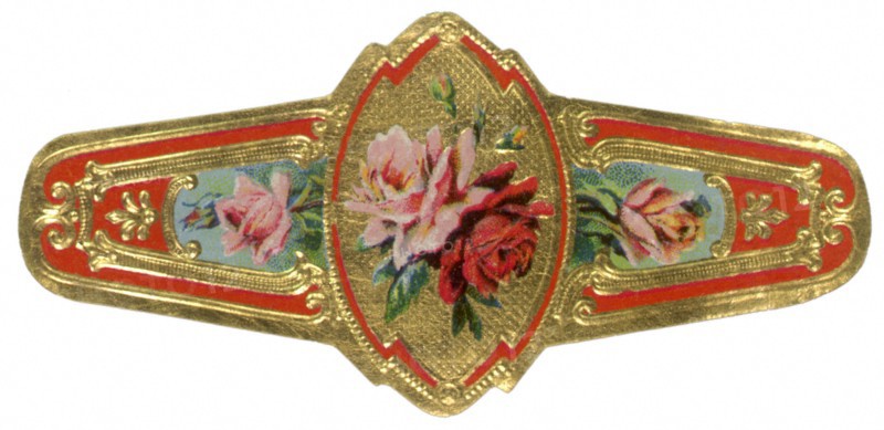 Roses on Cigar Band