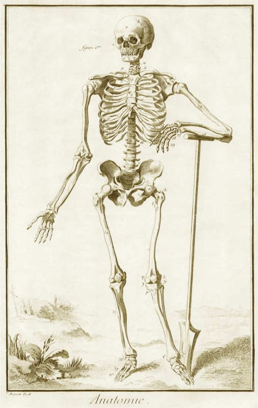 Skeleton and Shovel
