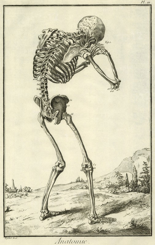 Skeleton Hunched Over